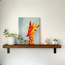 2x6 Reclaimed Barn Wood Shelves