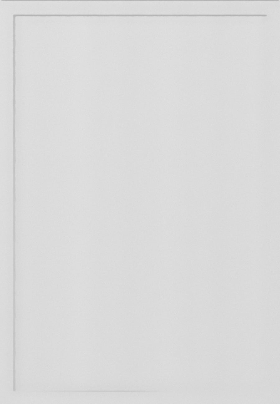 Slim Shaker White Sample Door