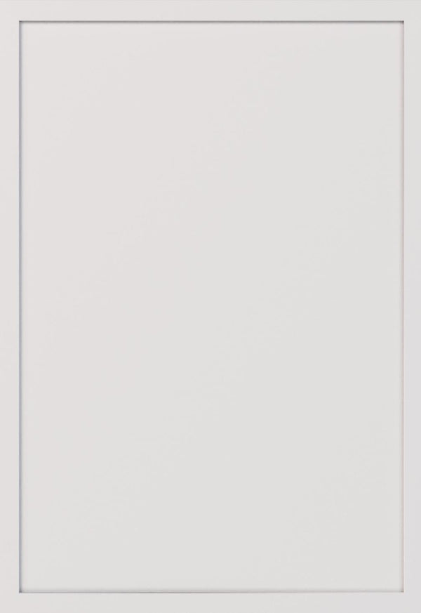 Wilder Dove White Sample Door