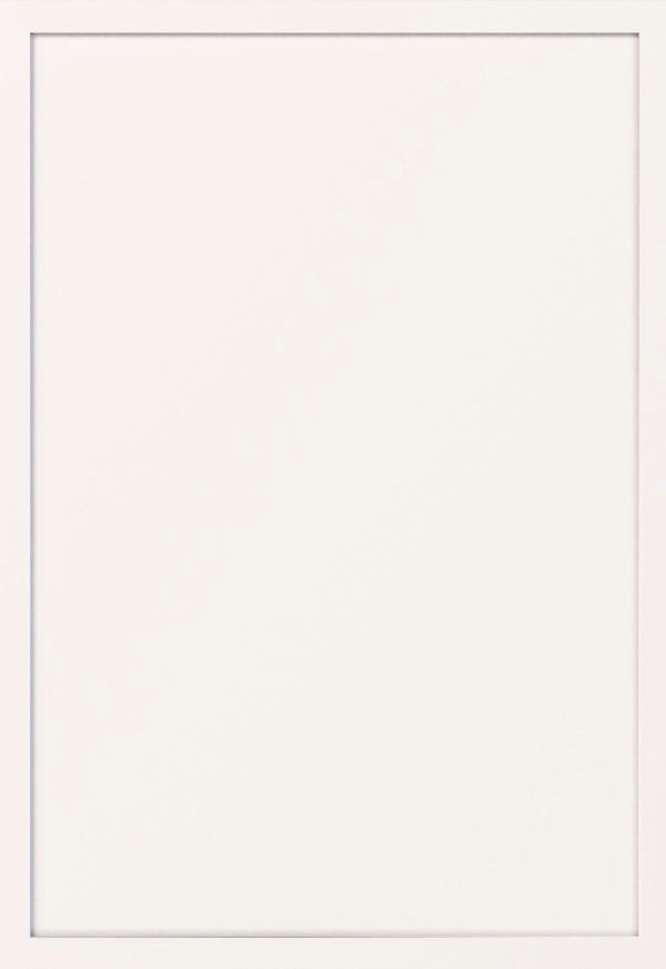 Haven Cashmere White Sample Door
