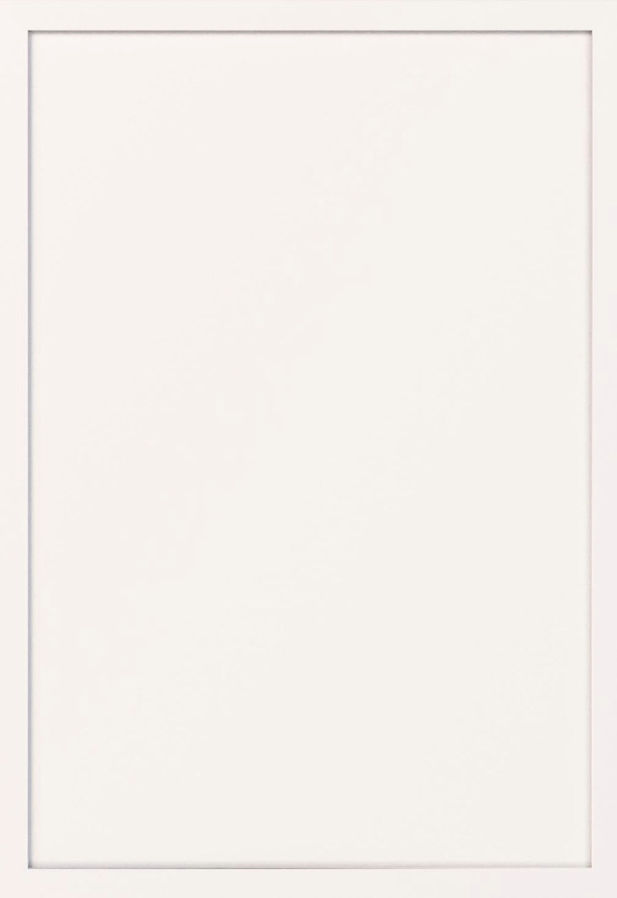 Haven Cashmere White Sample Door